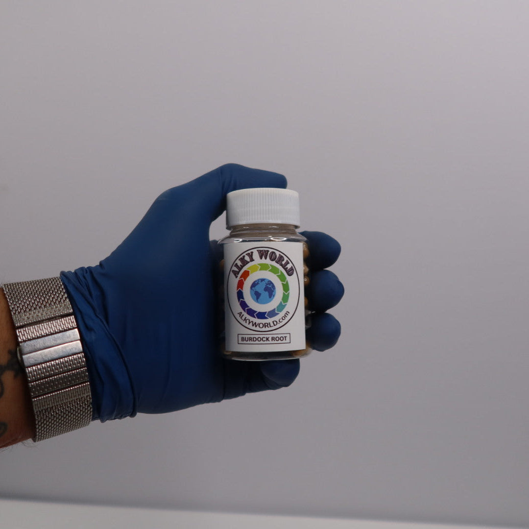 Hand wearing a blue glove holding a small container Labeled Burdock Root