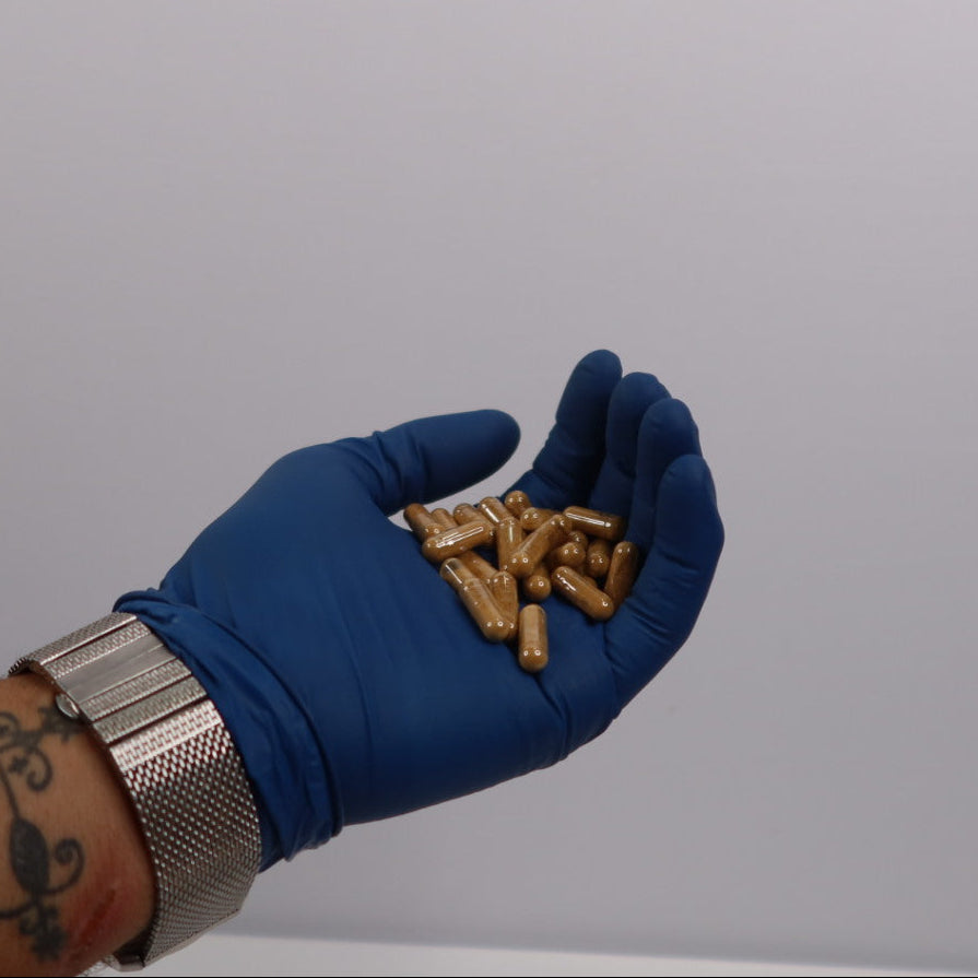 Hand wearing a blue glove Burdock Root Capsules