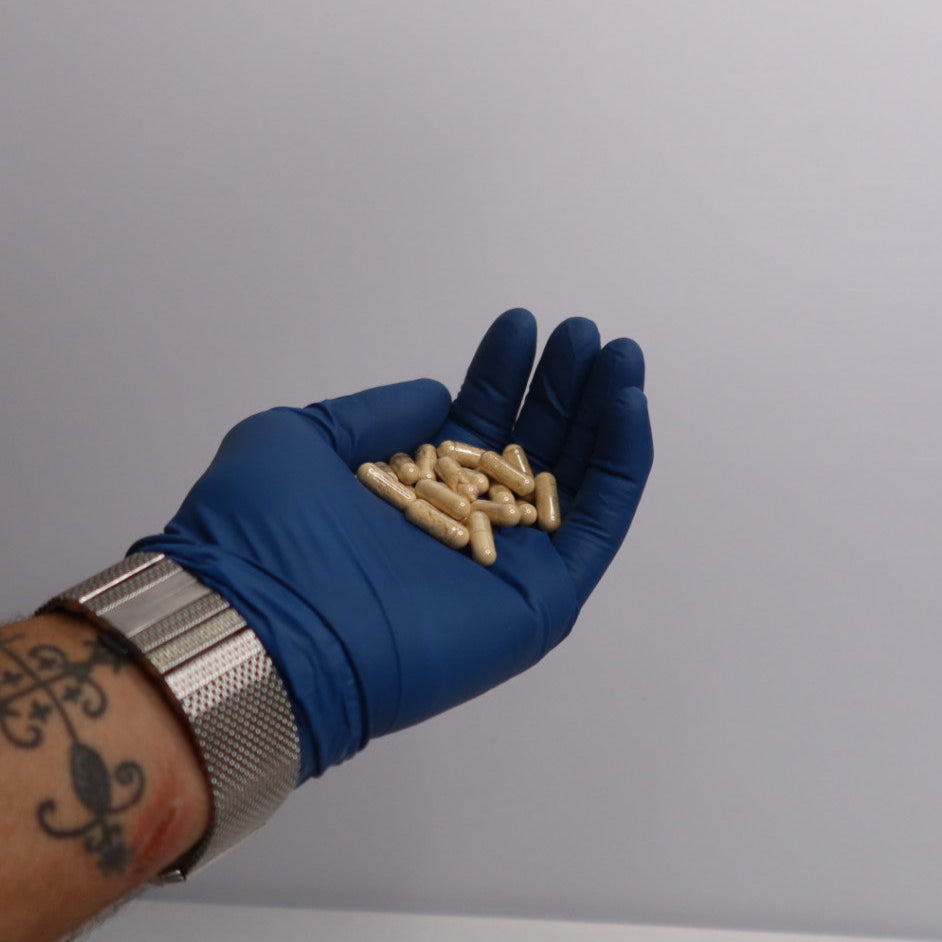 Hand wearing a blue glove holding lions mane Capsules